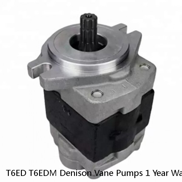T6ED T6EDM Denison Vane Pumps 1 Year Warranty With Dowel Pin Vane Structure