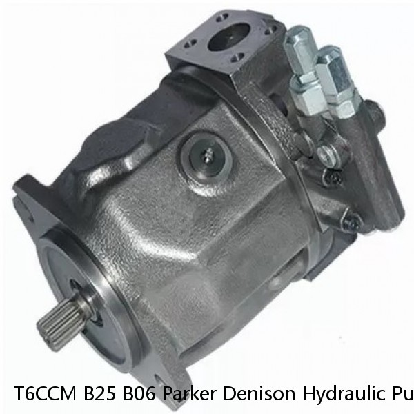 T6CCM B25 B06 Parker Denison Hydraulic Pump , Hydraulic Fixed Displacement #1 small image