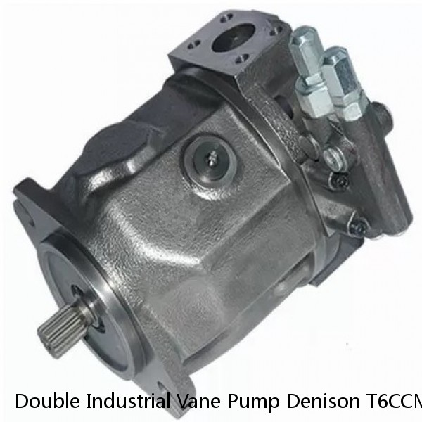 Double Industrial Vane Pump Denison T6CCM T6DCM T6ECM T6EDM T6EEM #1 small image