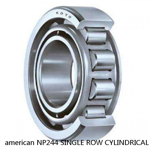 american NP244 SINGLE ROW CYLINDRICAL ROLLER BEARING #1 image